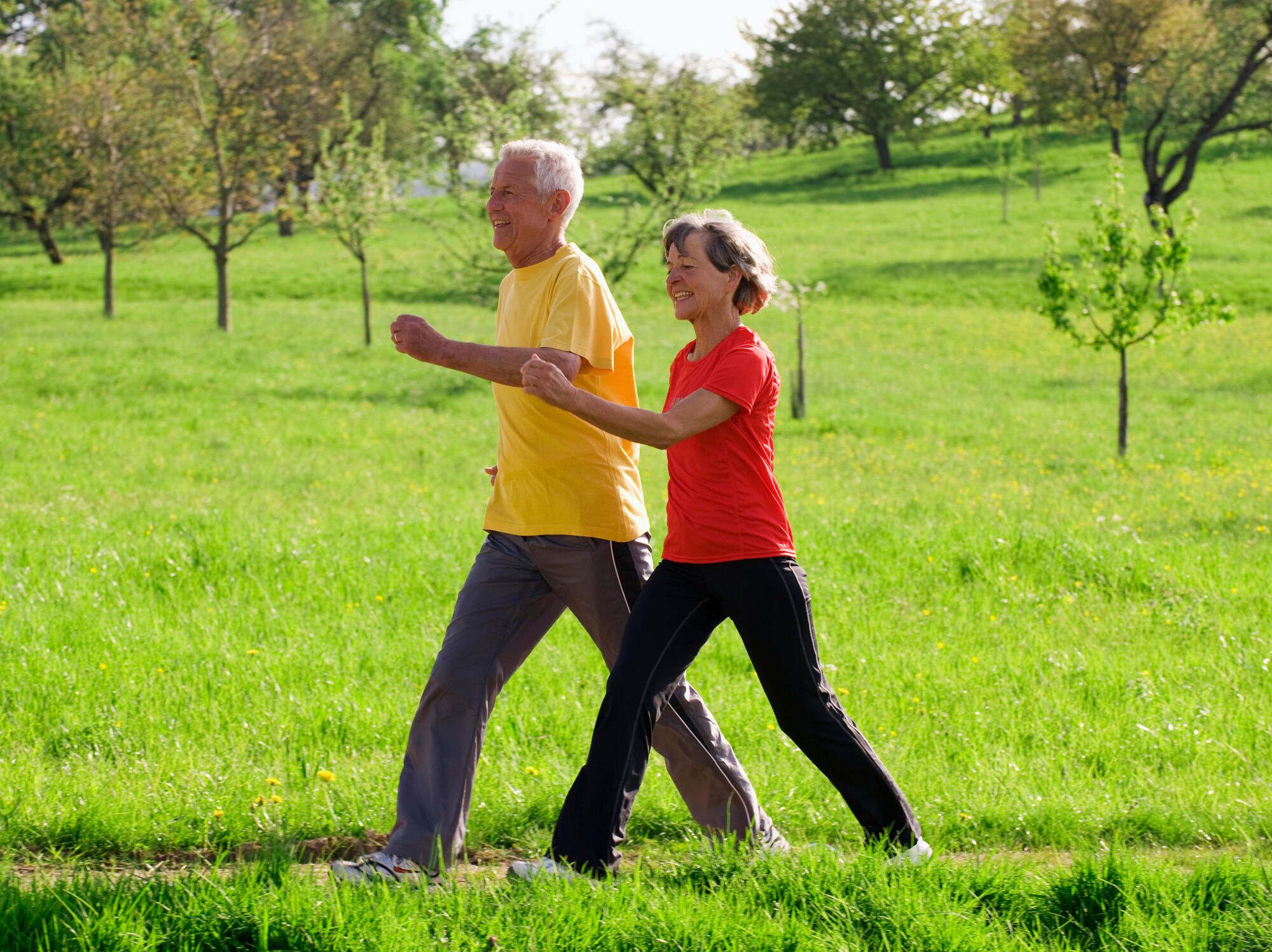 Walking for Heart Health: A Simple Routine That Supports Aging Well